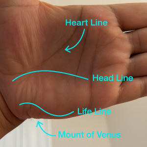palmistry lines and mount of venus, printable art, 300 DPI