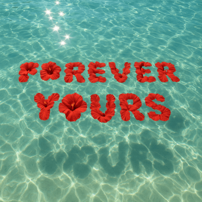 Hibiscus Love Lagoon fine art poster for office walls