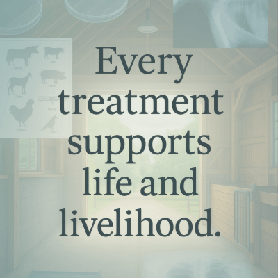 Life Supporting Treatments (4k)